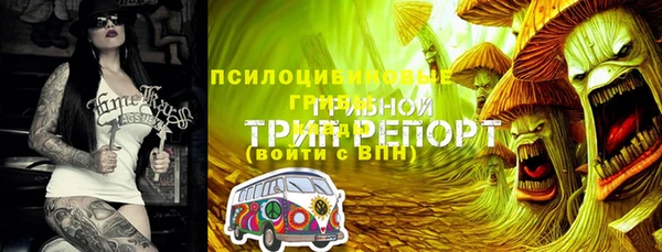 стаф Балабаново