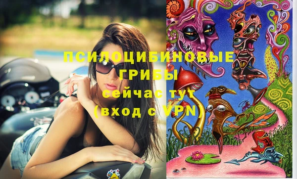 марки lsd Балахна