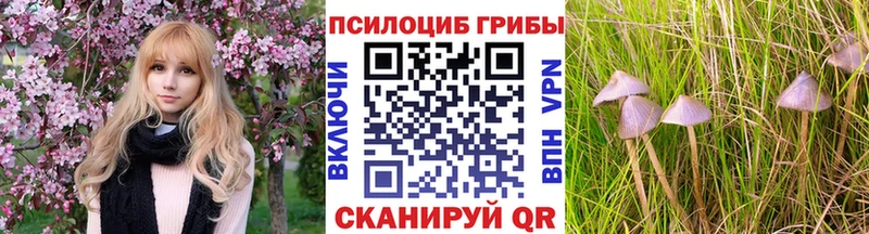 Галлюциногенные грибы мицелий Суворов